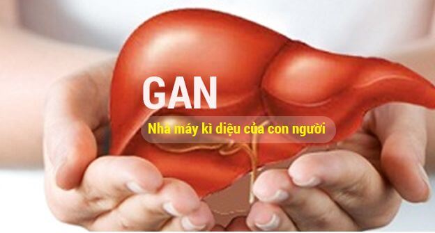  Vấn Đề Ăn Uống Khi Bị Viêm Gan 