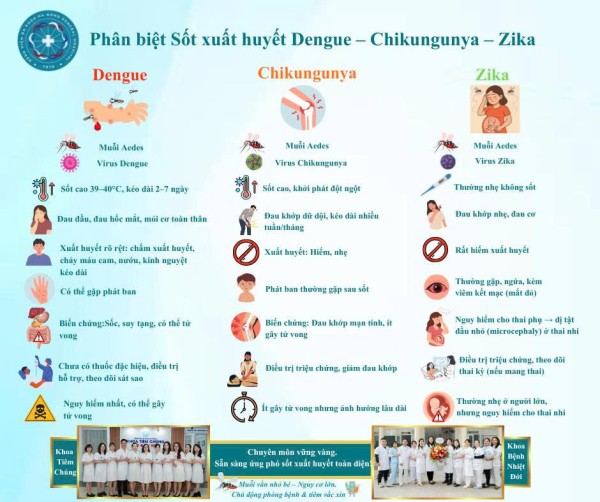 Phân biệt Sốt xuất huyết Dengue, Zika và Chikungunya: Nhận biết sớm để bảo vệ sức khỏe