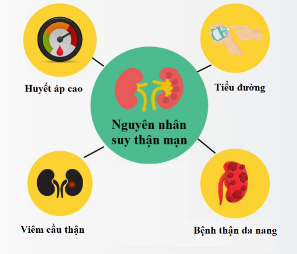 Nhận diện sớm các nguyên nhân gây suy thận mạn tính – Bảo vệ thận, bảo vệ sự sống