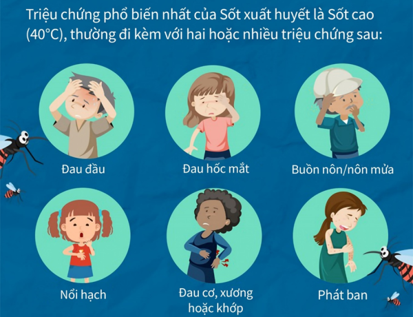 Sốt xuất huyết đang vào mùa cao điểm: Đừng bỏ qua vai trò của dinh dưỡng