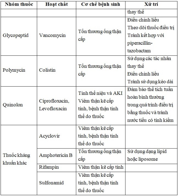 Tổng quan về thuốc kháng sinh gây ra độc tính thận.